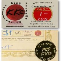 Kendama Canada – Badges de Certifications PRO KYU – Kyu 1 et Sceau doré pour Certificat