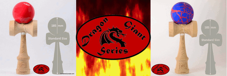 Dragon Feu Logo1