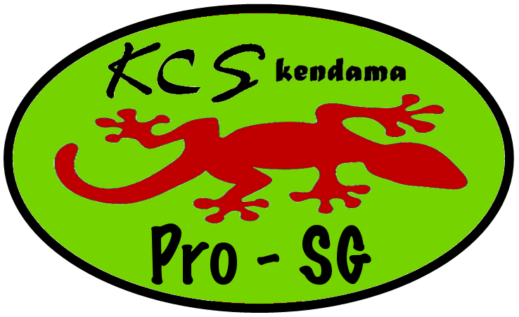 Pro-SG logo seul